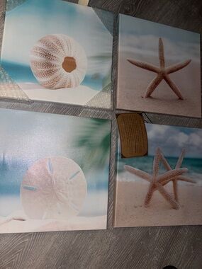 Set of FOUR (4) Starfish/Sanddollar Wall Art PLUS FREE ‘Parisian Home’ frame